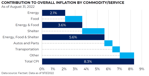 Contribution to Inflation by Commodity