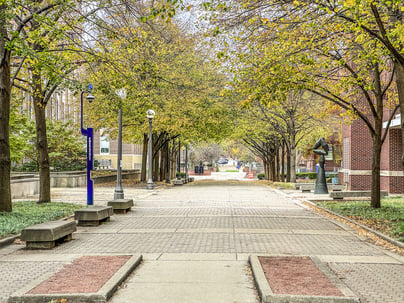 Tree-lined brick campus walkway in autumn, with a blue emergency call post on the left and brick buildings on either side.