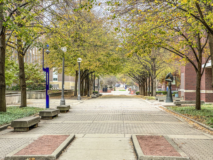 Tree-lined brick campus walkway in autumn, with a blue emergency call post on the left and brick buildings on either side.