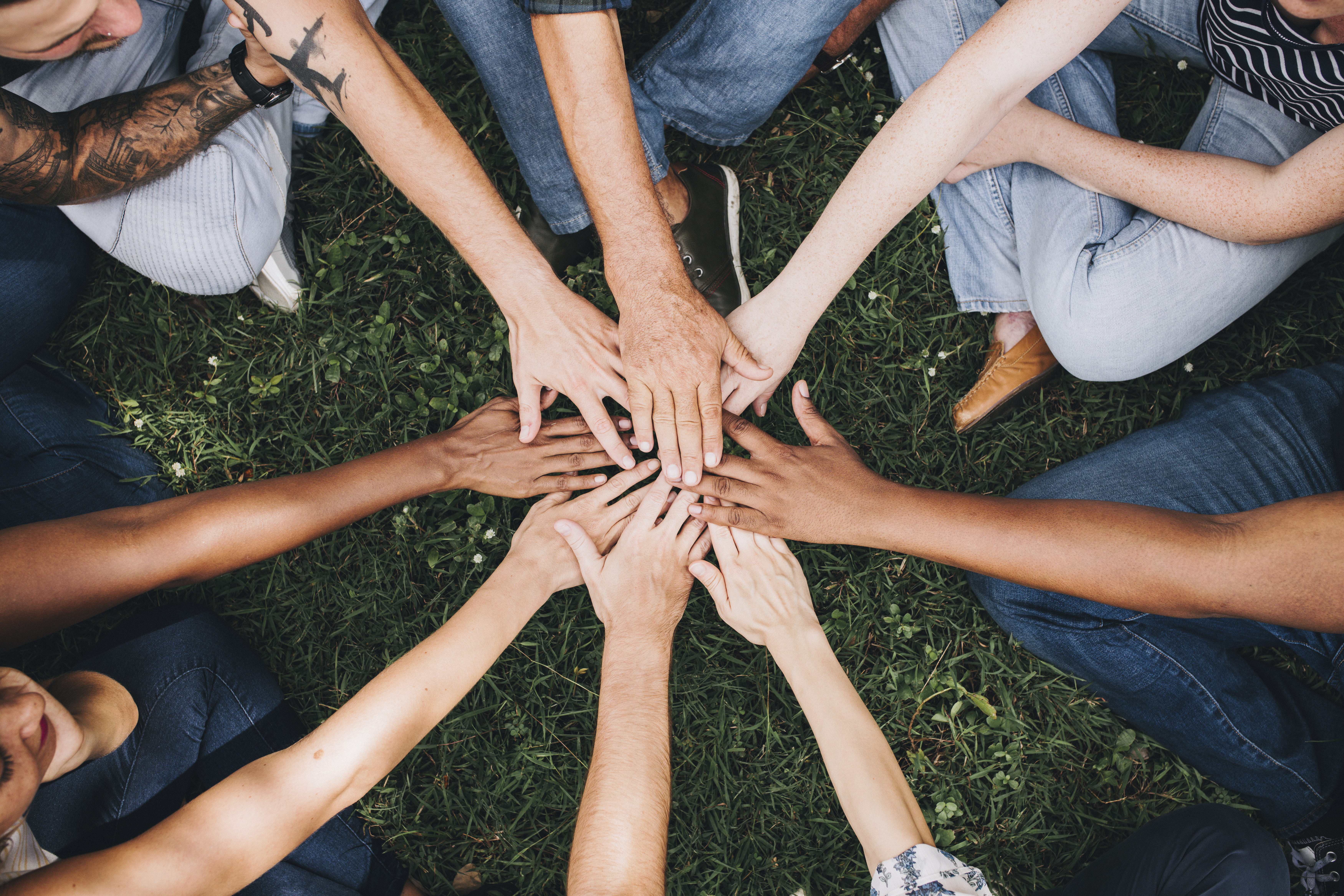FEG Insight: Community Foundation Survey 2024 Executive Summary