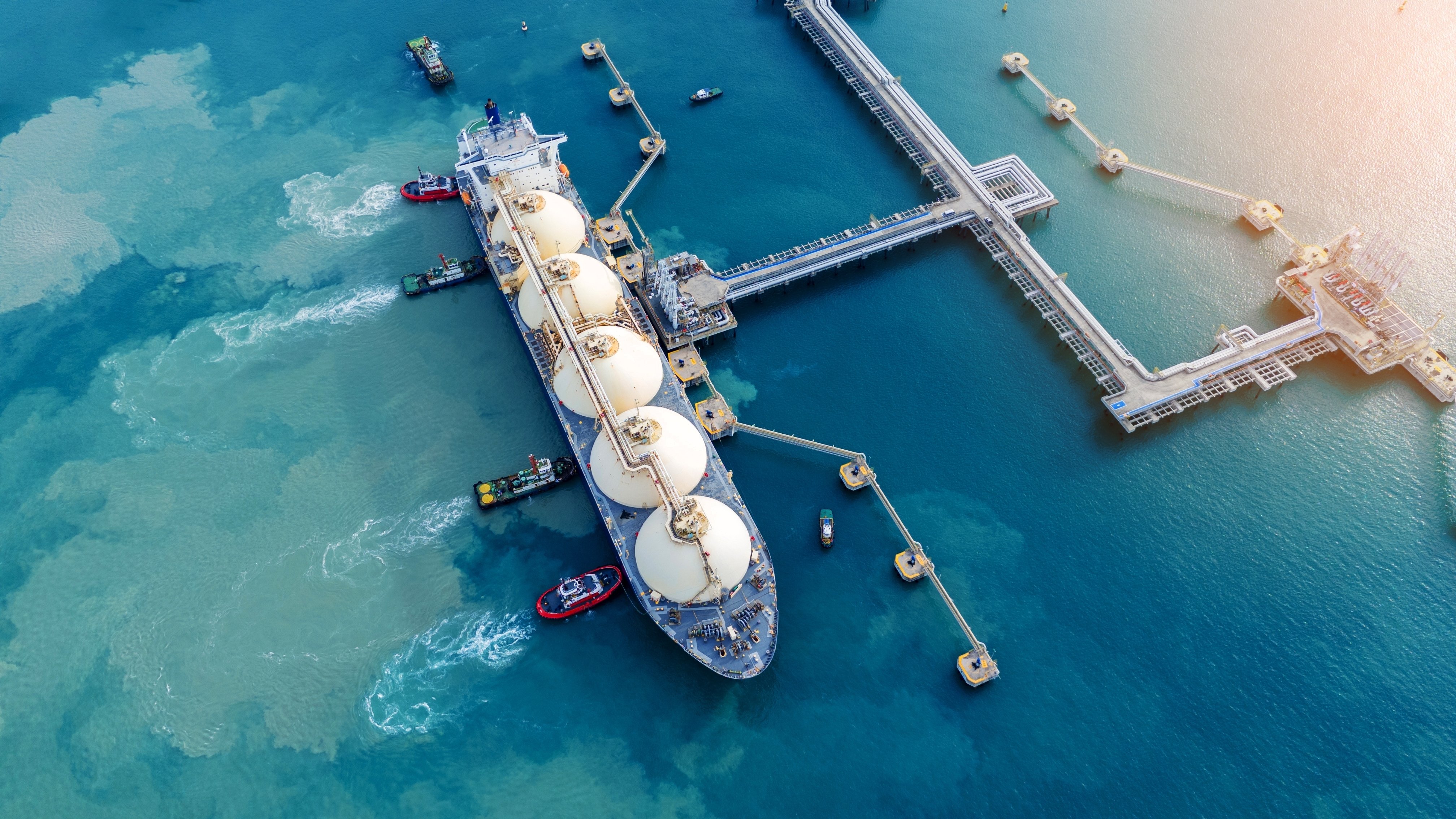 First Quarter 2026: Trump Card Played